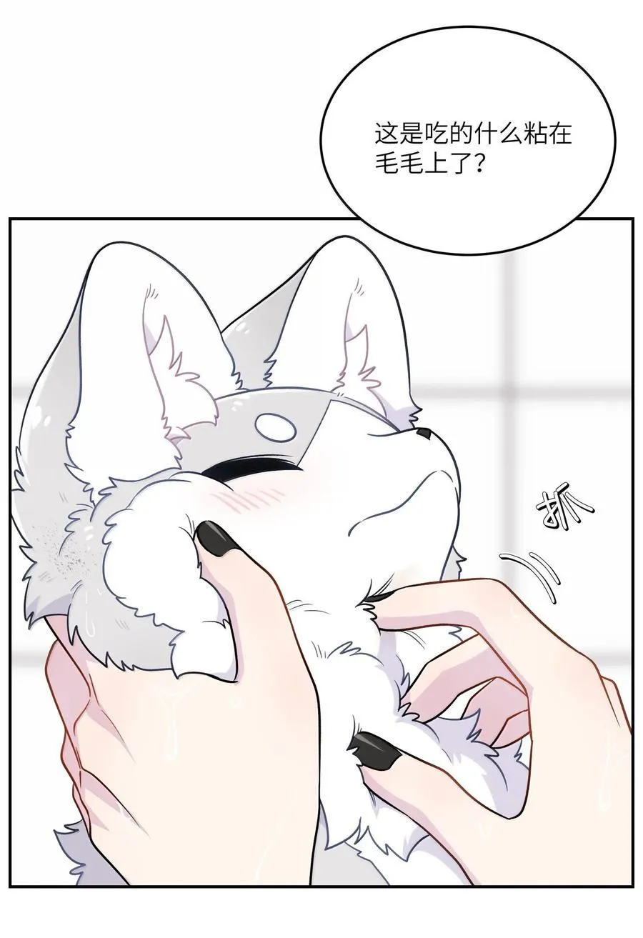 200 狼崽历险记（评论抽奖） 第35页