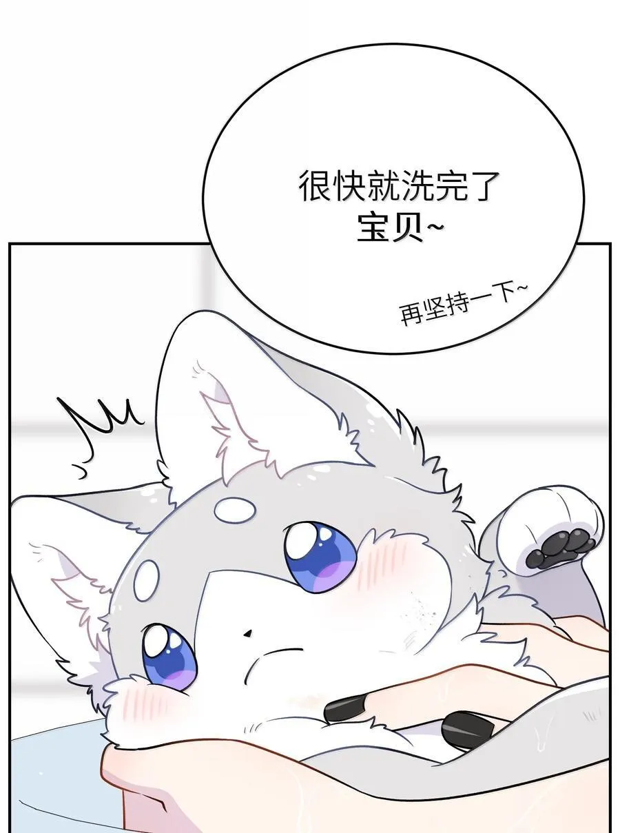 200 狼崽历险记（评论抽奖） 第38页