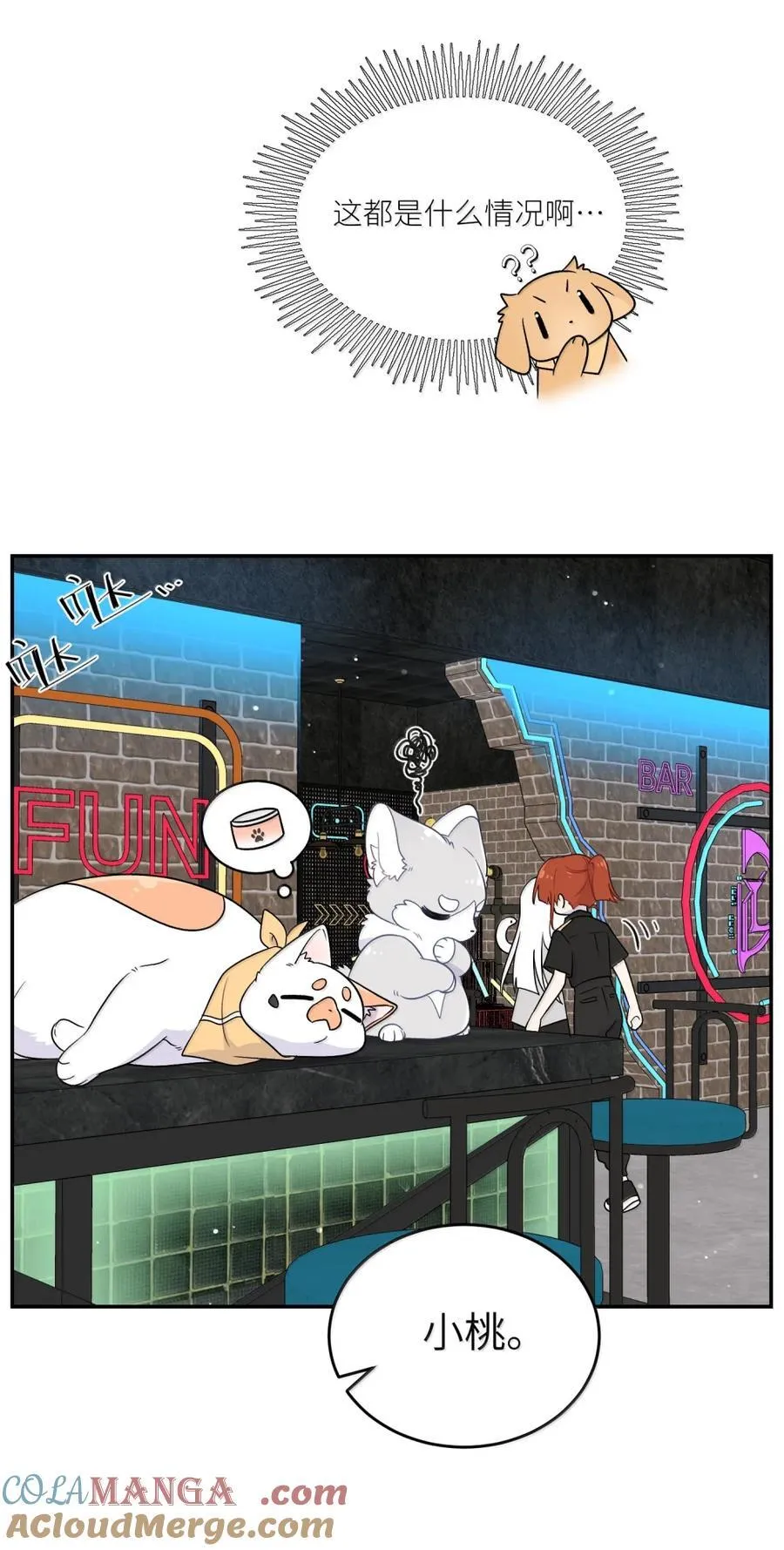 203 猝不及防 第19页