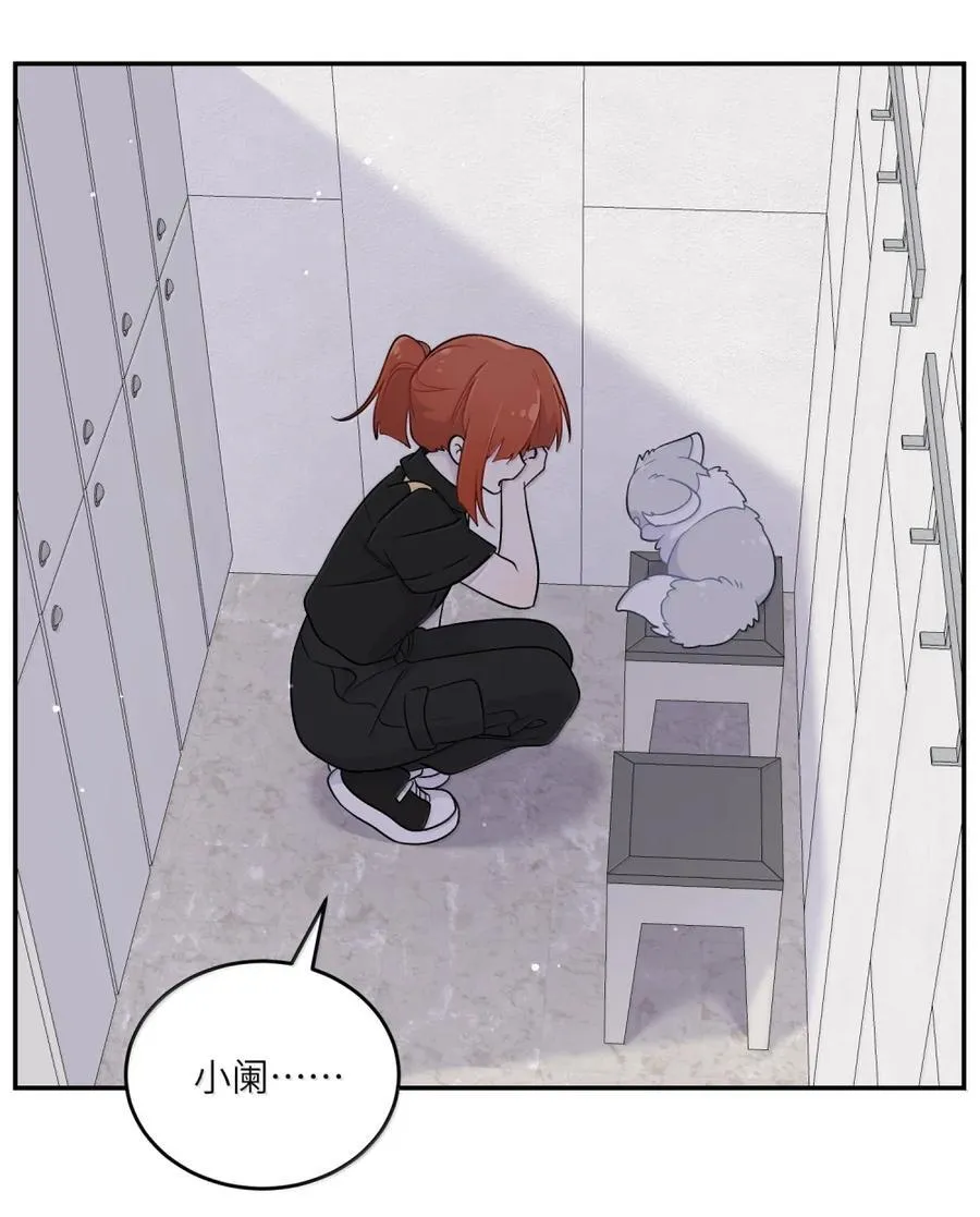 203 猝不及防 第36页