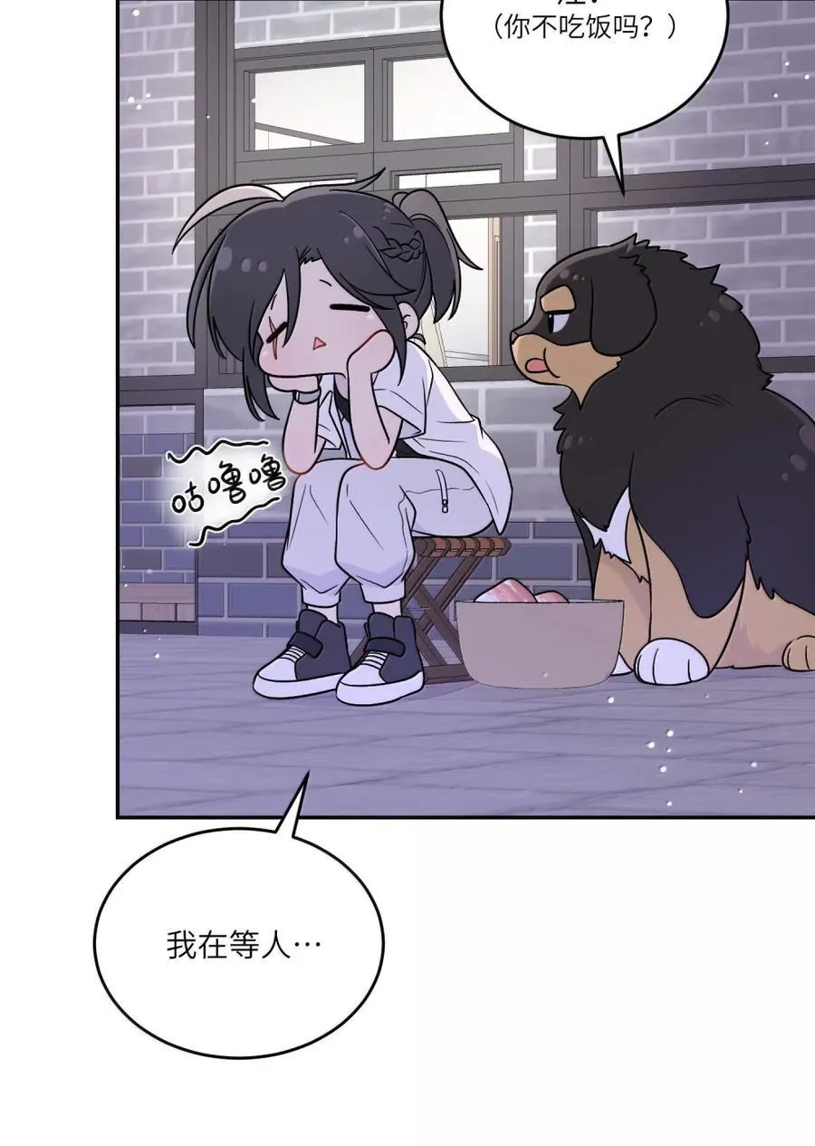204 划上句号 第51页