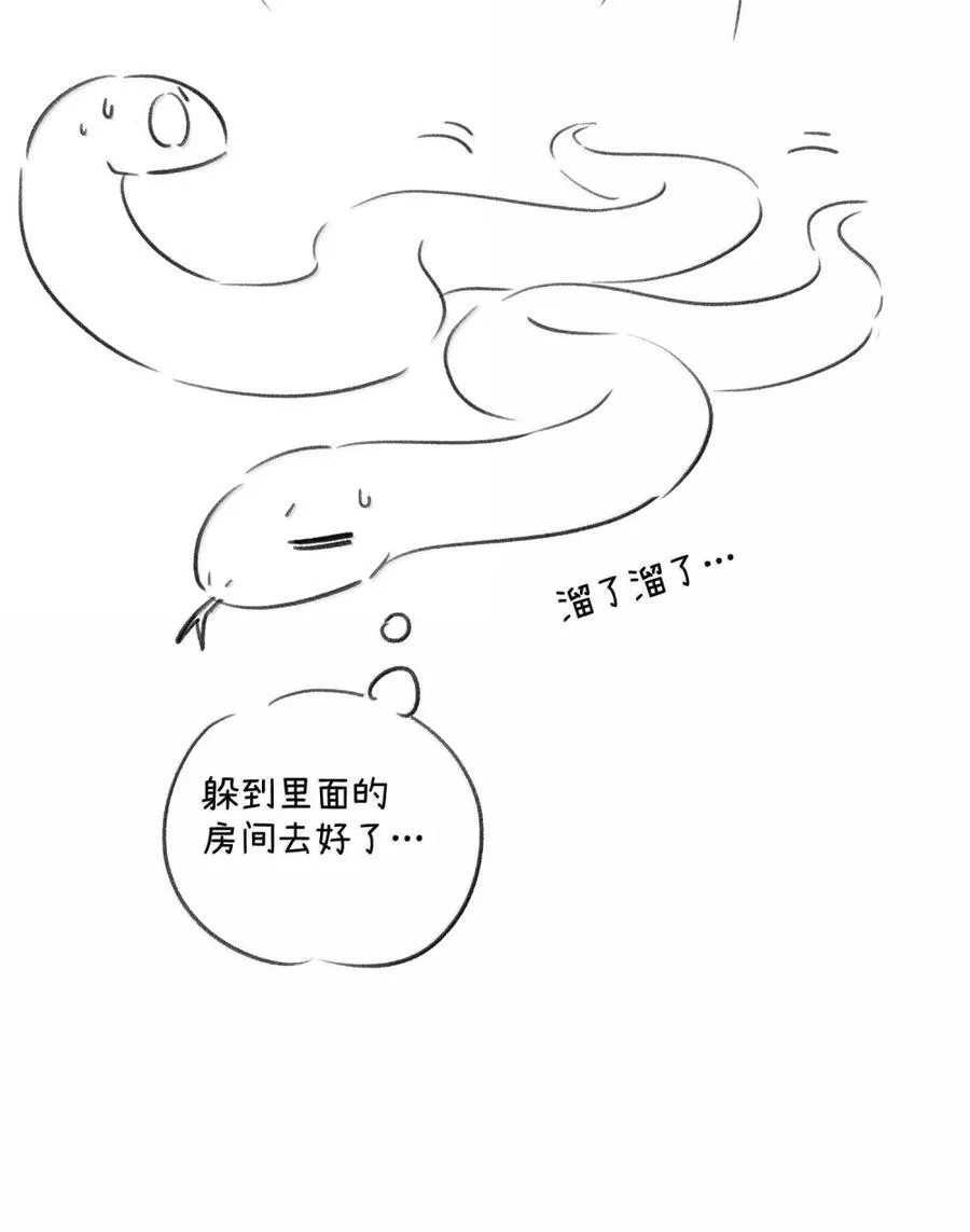 204 划上句号 第54页