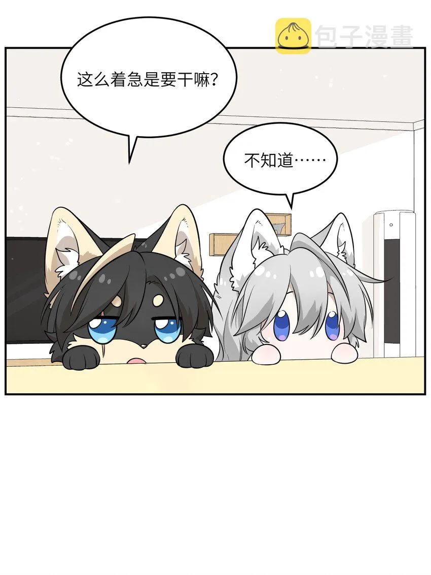 083 决心 第10页