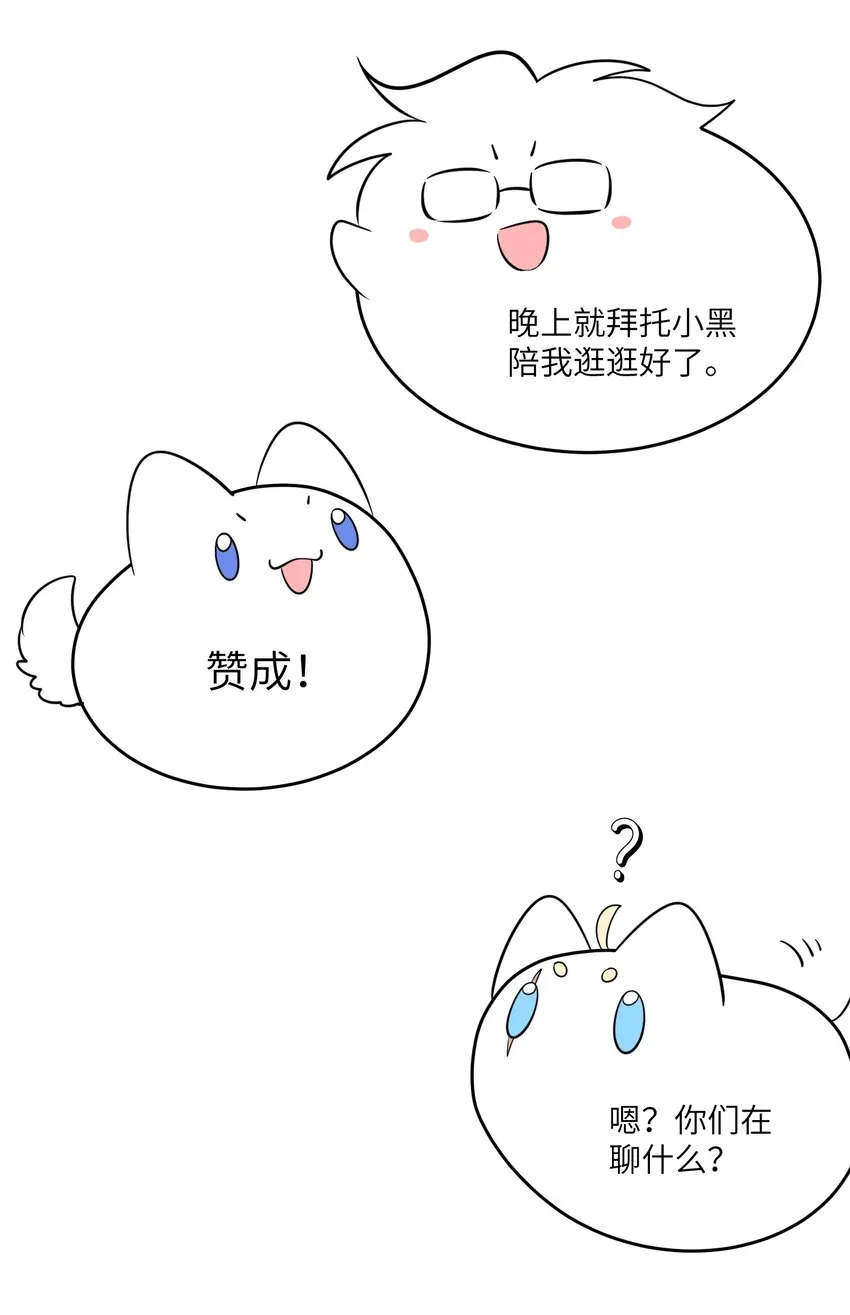 083 决心 第29页