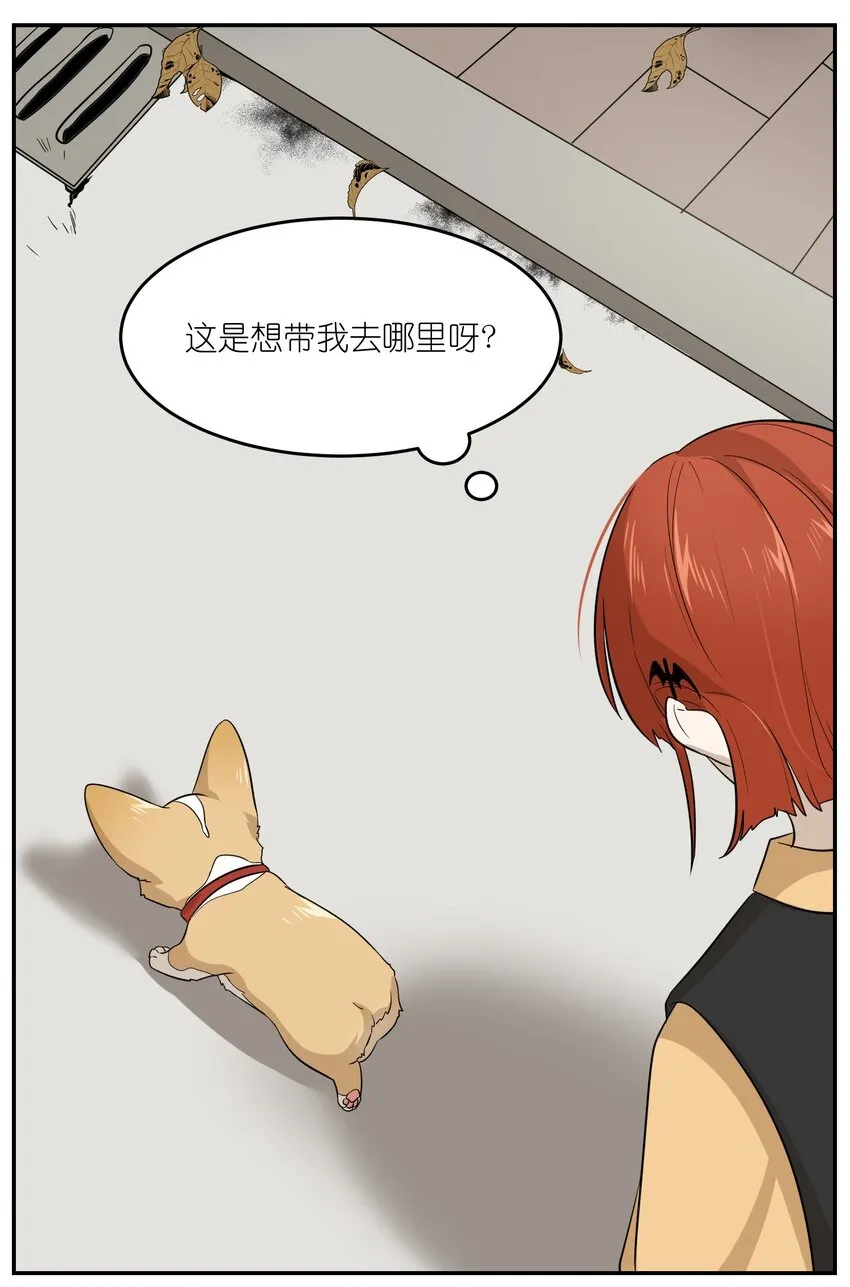 008 走散 第16页