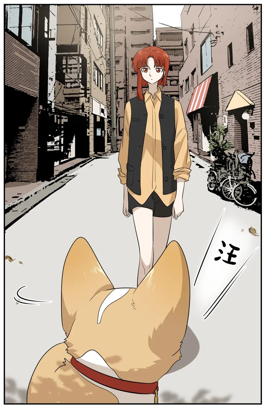 008 走散 第17页