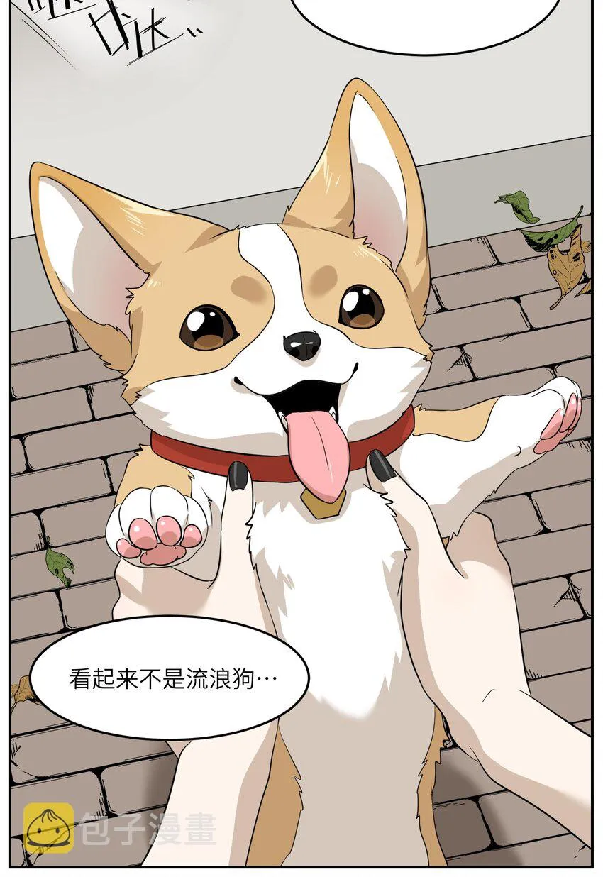 008 走散 第28页