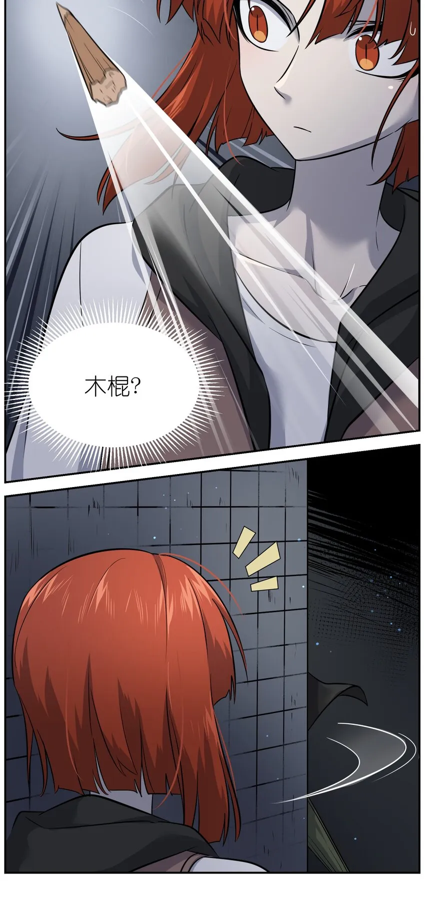 027 跟踪者 第27页