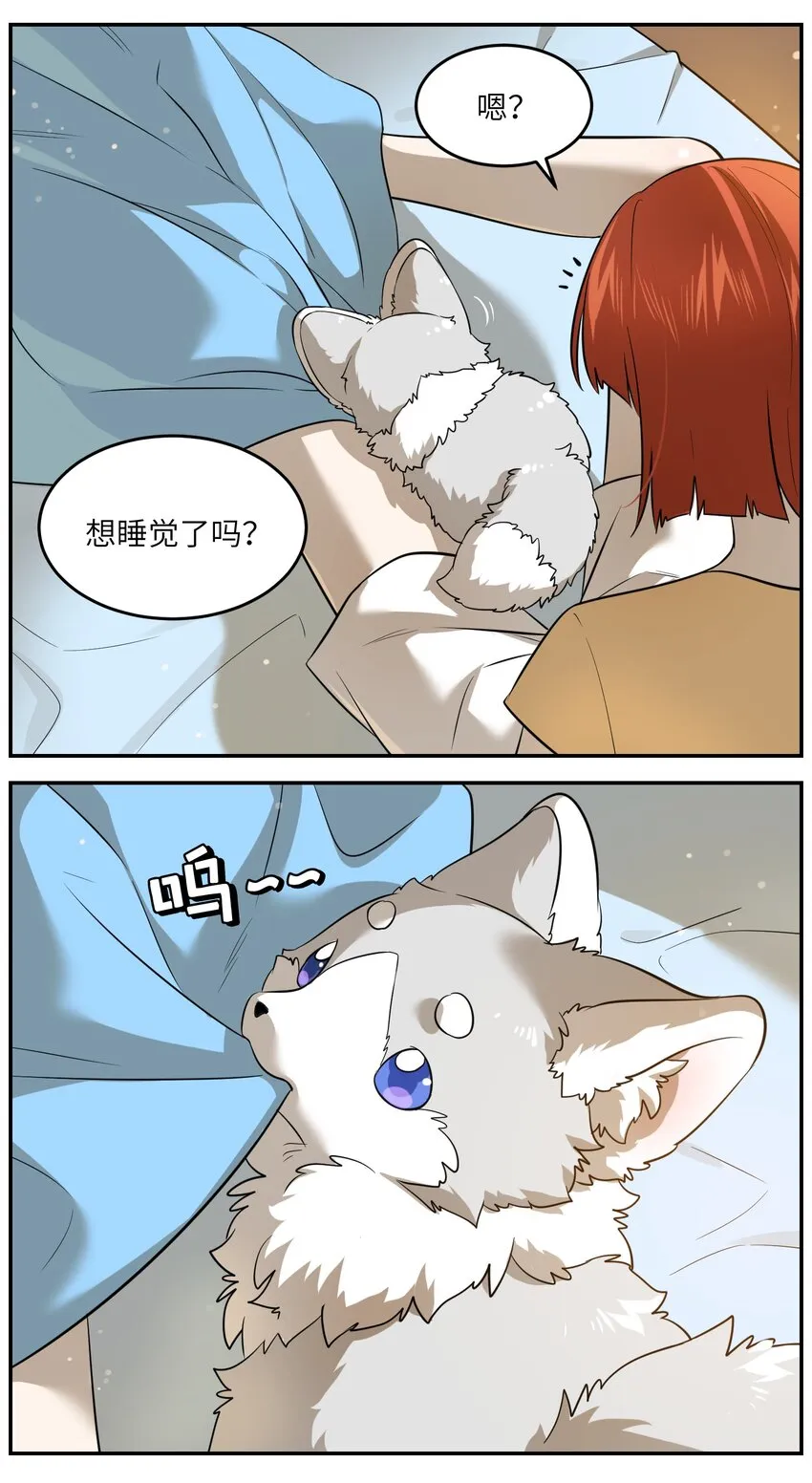 033 是小黑！ 第27页