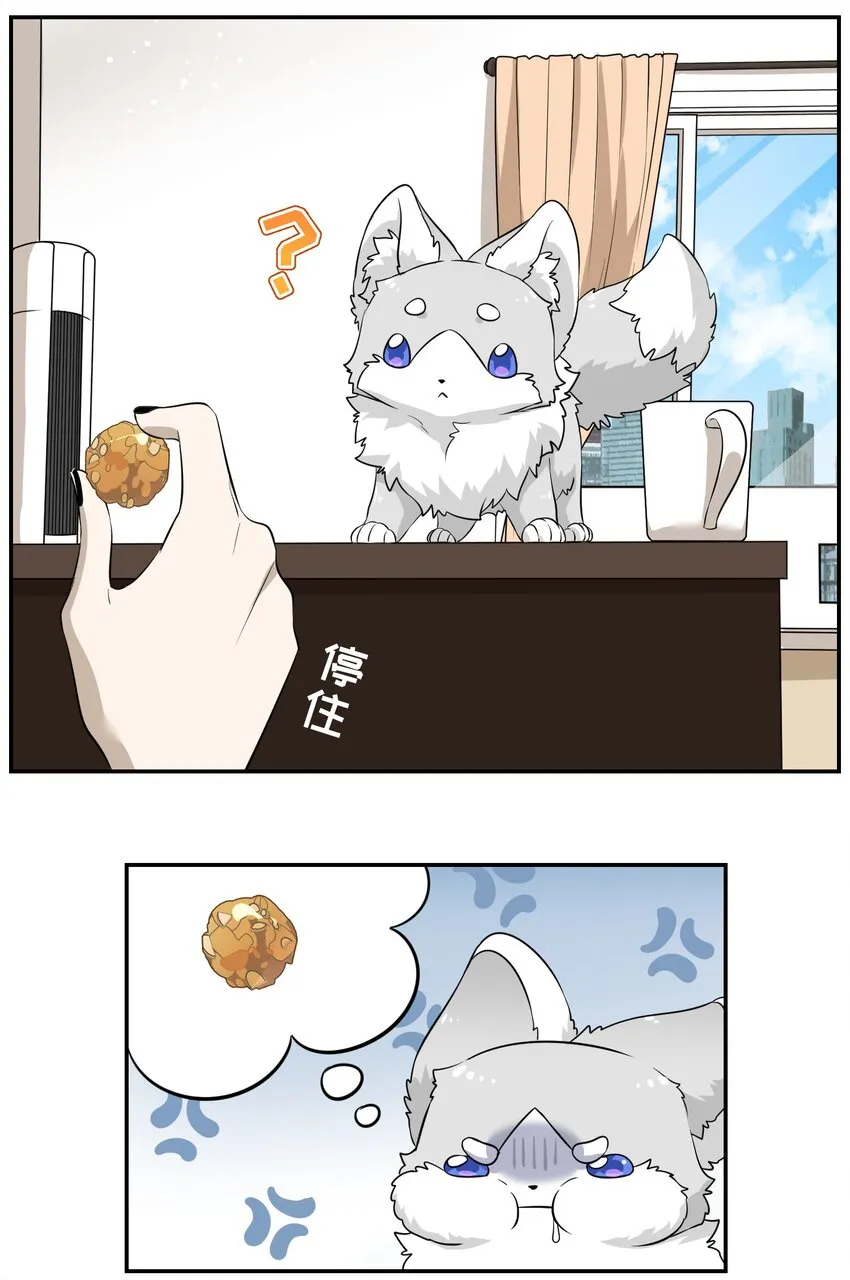 035 小可爱~ 第10页