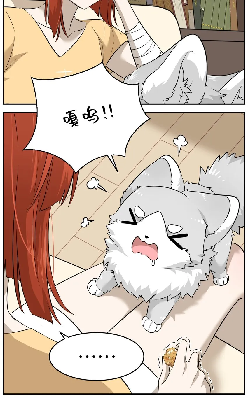 035 小可爱~ 第12页