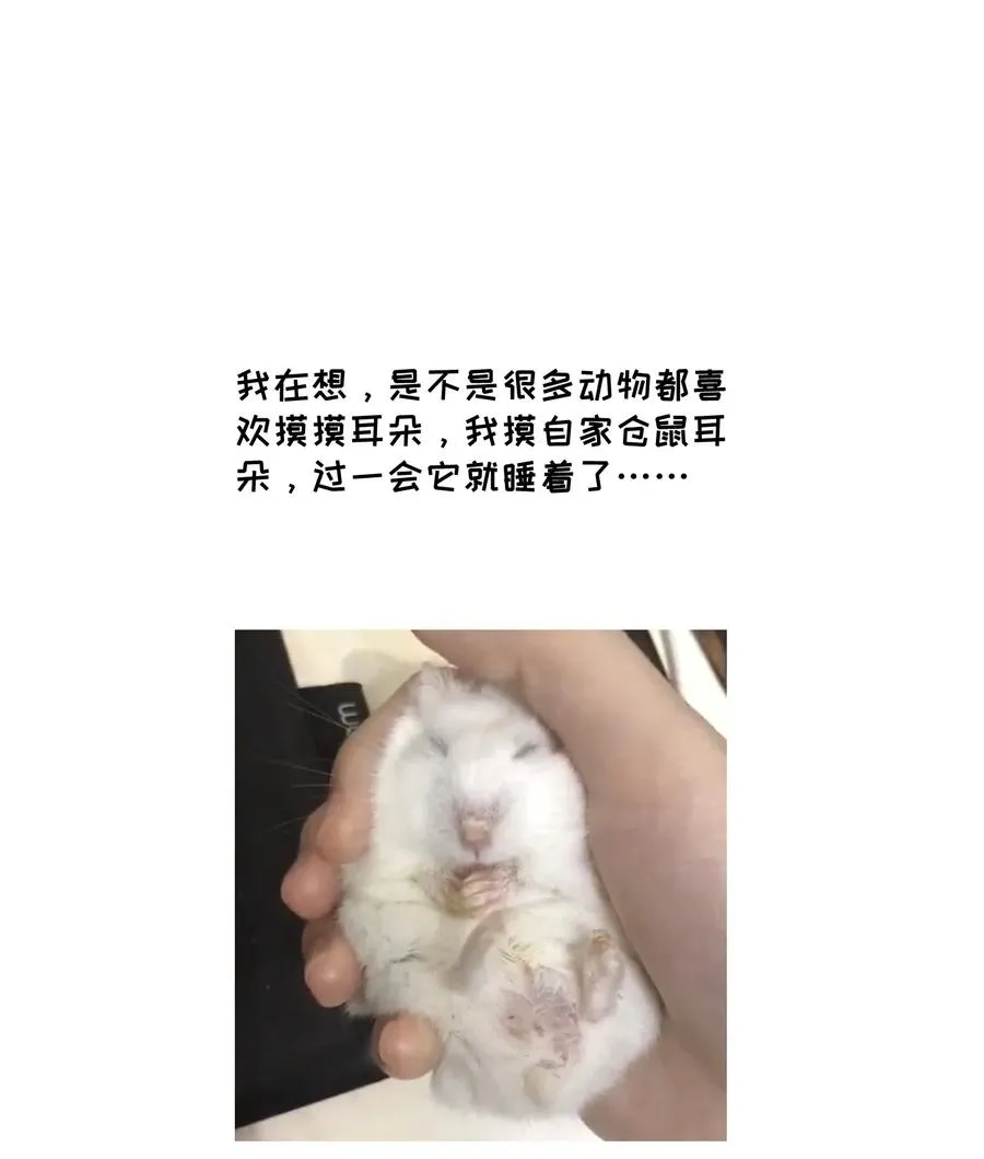 051 其实是担心你 第34页
