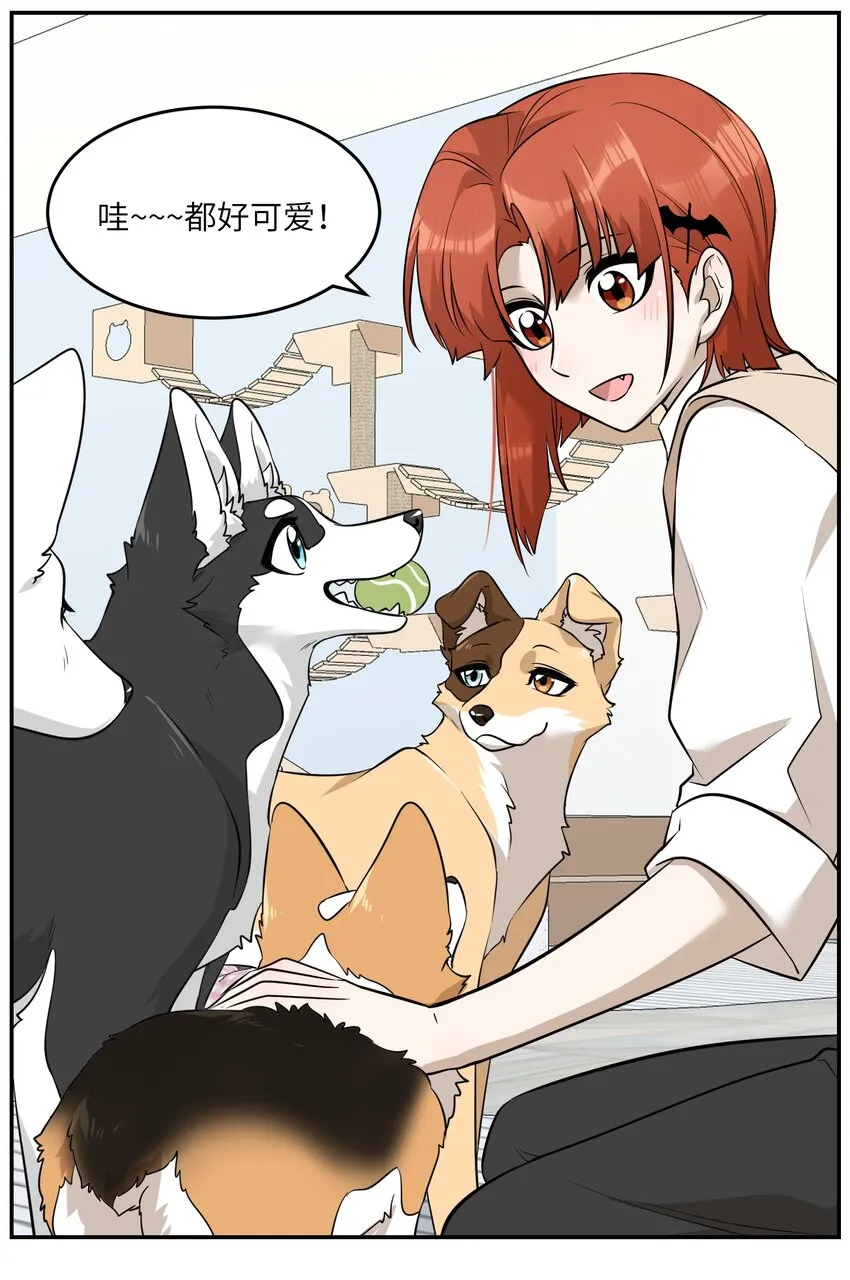 067 你真可爱 第6页