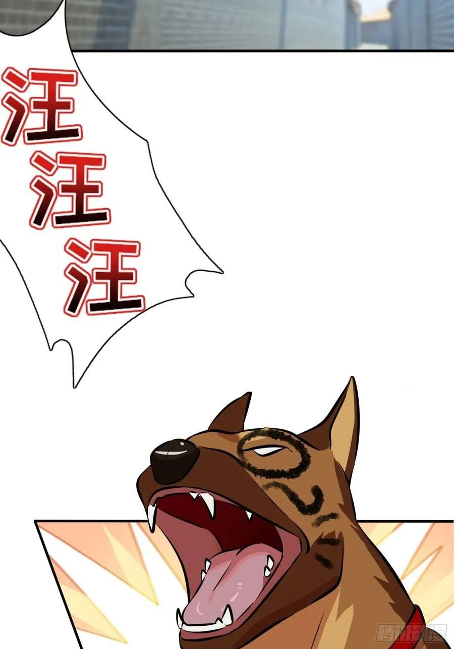 第43话：那天放狗追我的是你！ 第3页