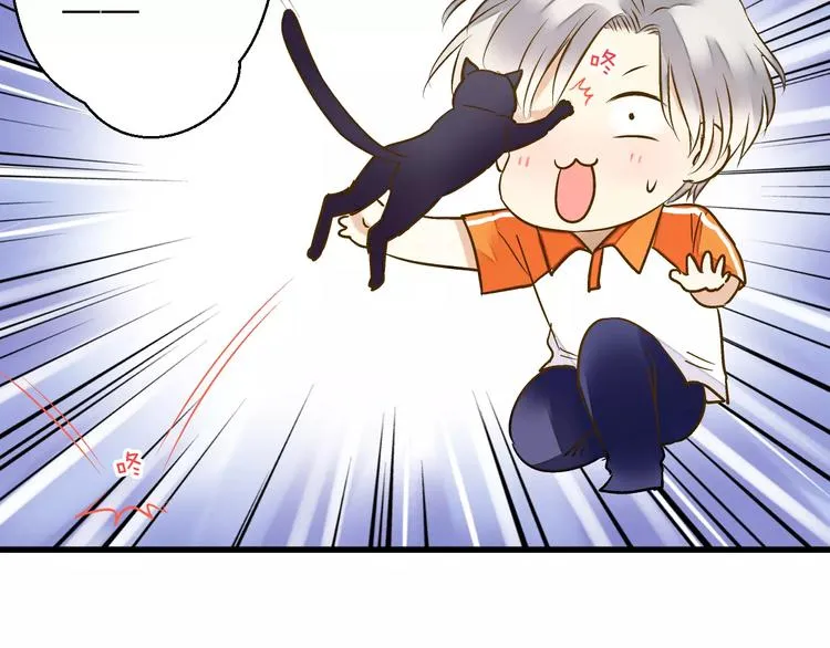 第50话 他不在 第12页