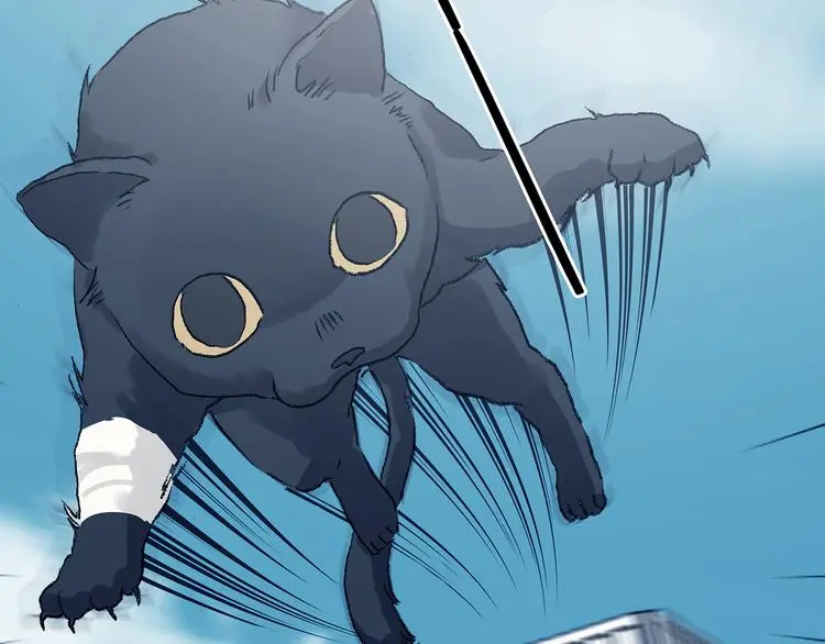 第92话 最终章 猫男（三） 第6页