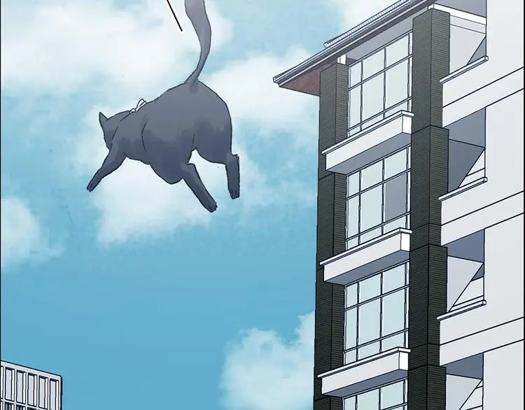 第92话 最终章 猫男（三） 第43页