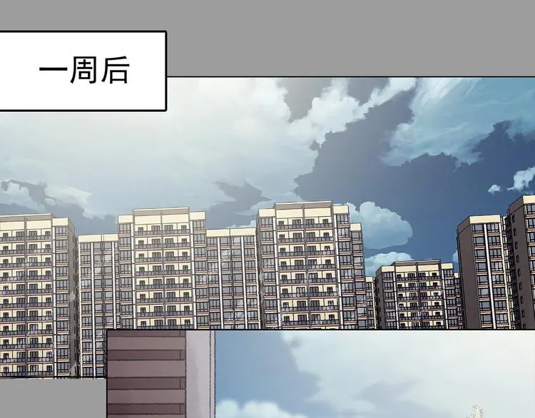第26话 信鸽（1） 第138页
