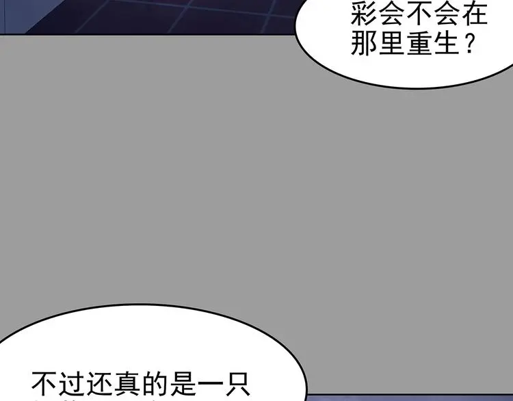 第49话 学校静悄悄（五） 第8页