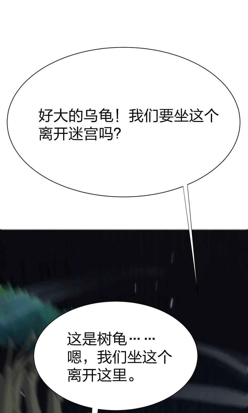 044 树龟 第50页
