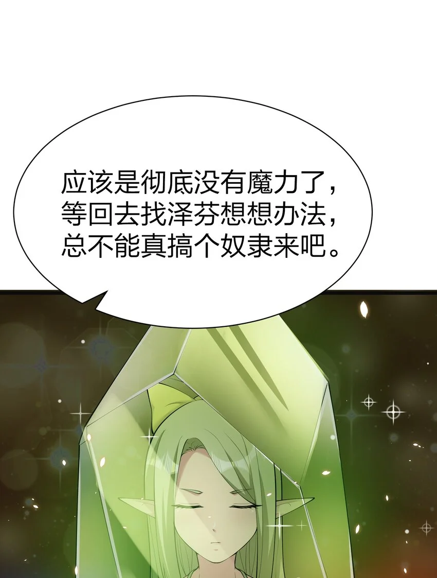 044 树龟 第58页
