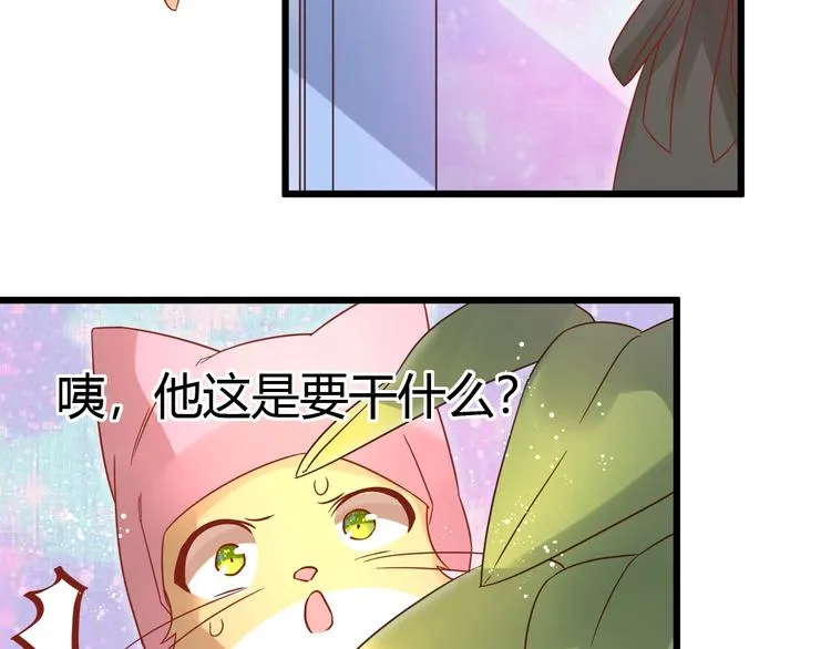 第12话 铲屎官的危机 第46页