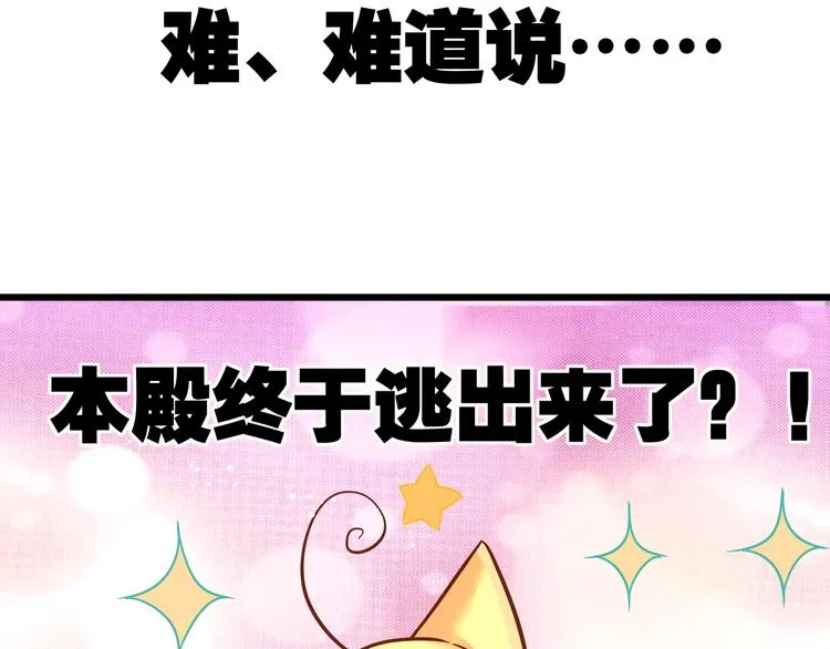 第7话 变回原形的橘猫公主 第13页