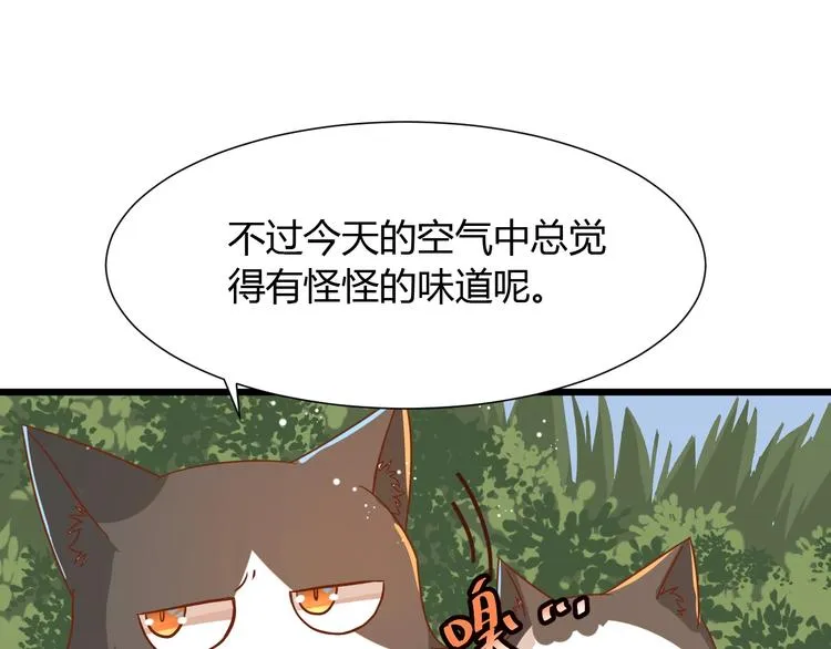 第7话 变回原形的橘猫公主 第33页