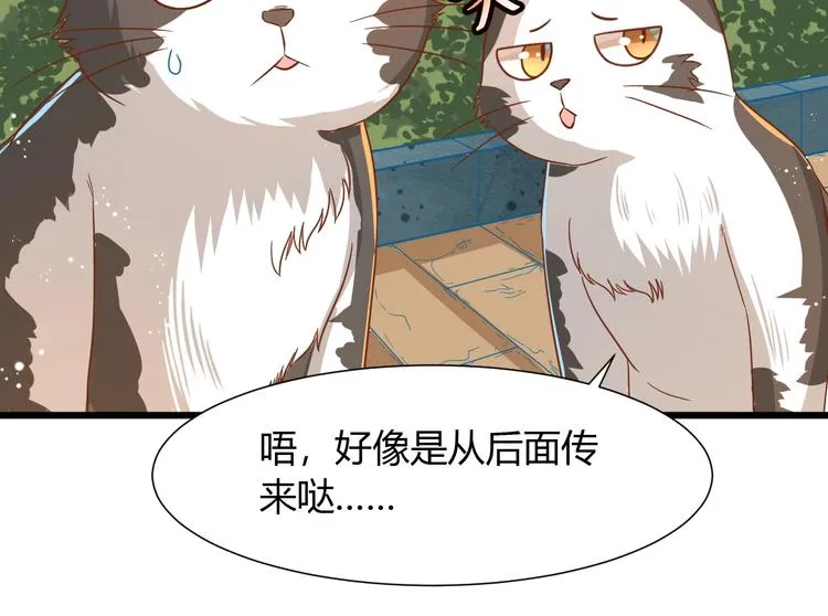 第7话 变回原形的橘猫公主 第34页