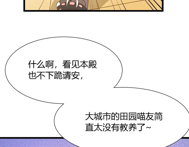 第7话 变回原形的橘猫公主 第39页