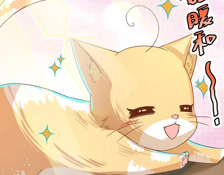 第7话 变回原形的橘猫公主 第42页