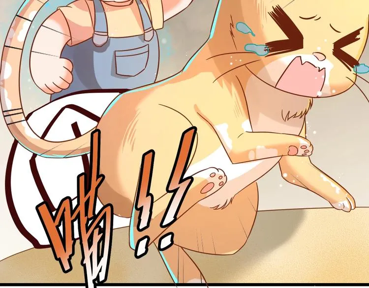 第7话 变回原形的橘猫公主 第49页