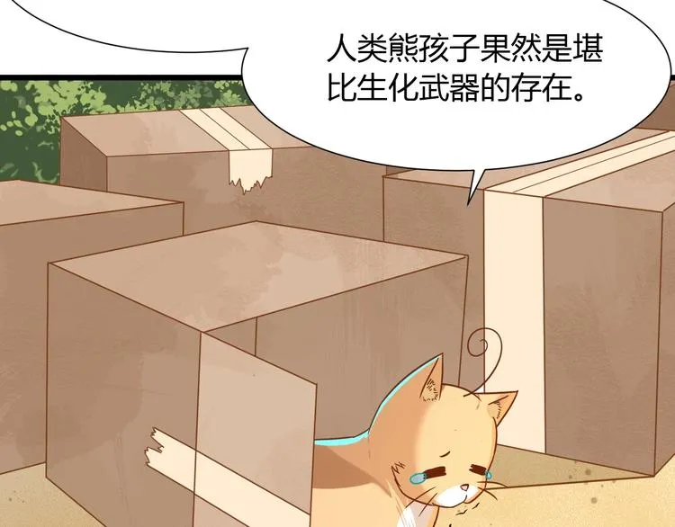 第7话 变回原形的橘猫公主 第52页