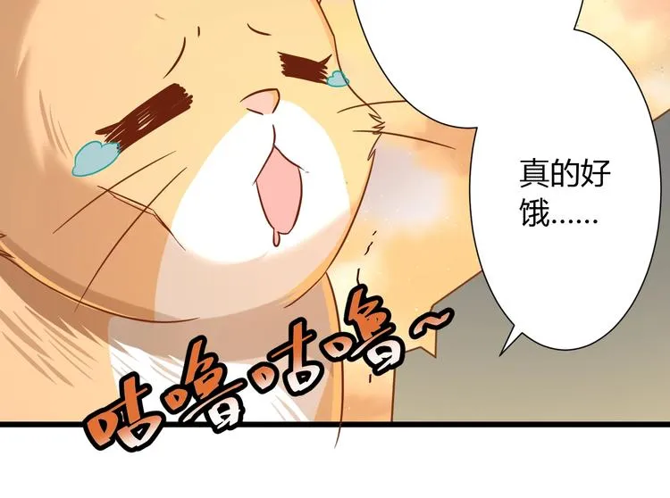 第7话 变回原形的橘猫公主 第54页