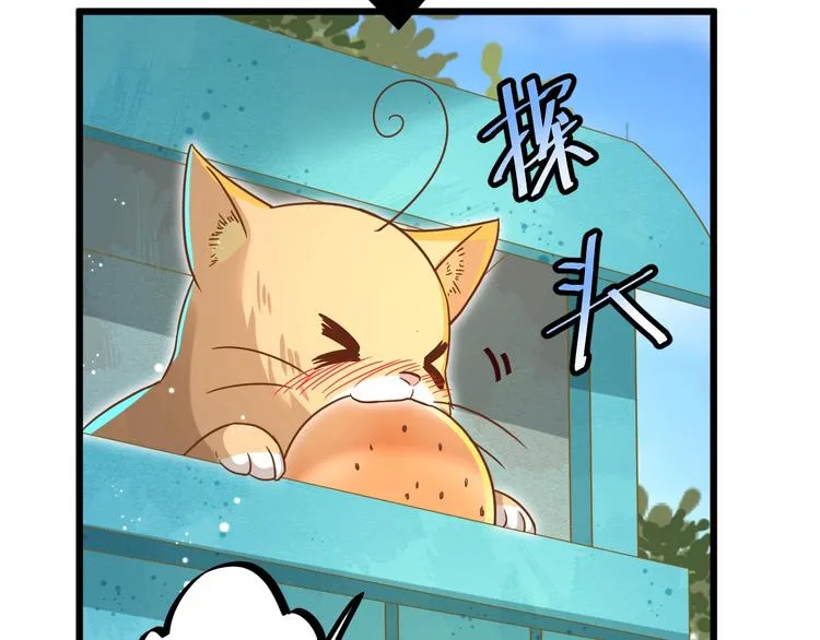 第7话 变回原形的橘猫公主 第60页