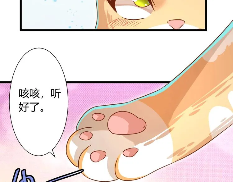 第7话 变回原形的橘猫公主 第71页