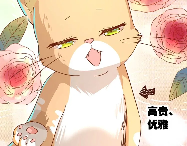 第7话 变回原形的橘猫公主 第73页