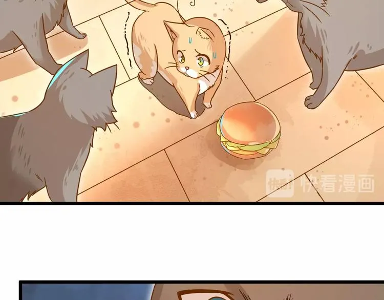 第7话 变回原形的橘猫公主 第77页