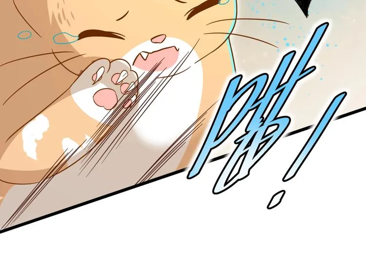 第7话 变回原形的橘猫公主 第84页