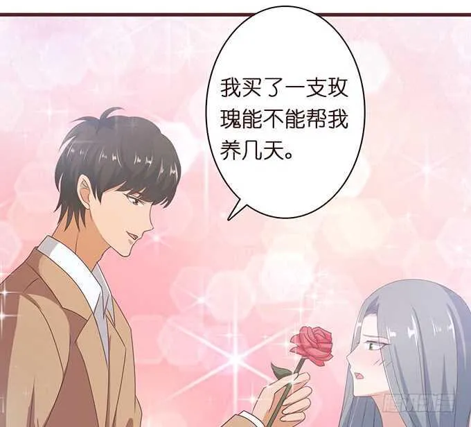永恒的爱恋 第27页