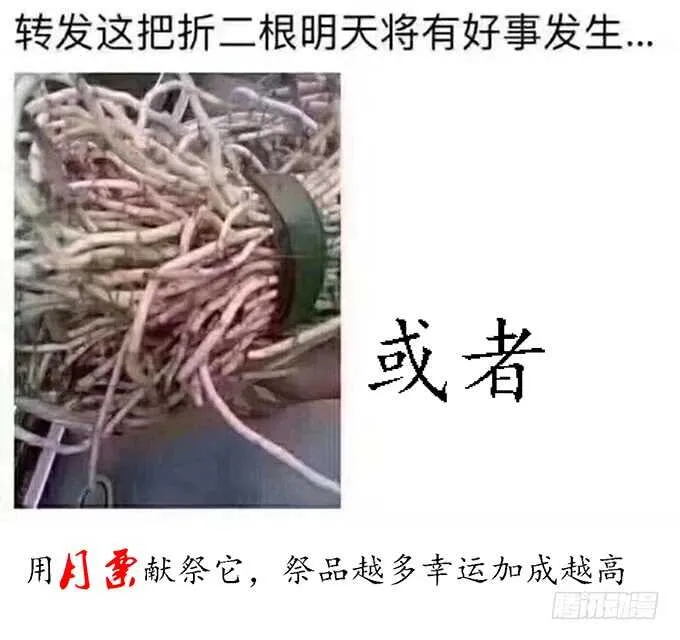 两人的欢愉 第103页