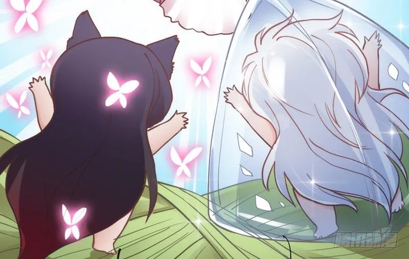 端午番外：吃货の选择！ 第25页