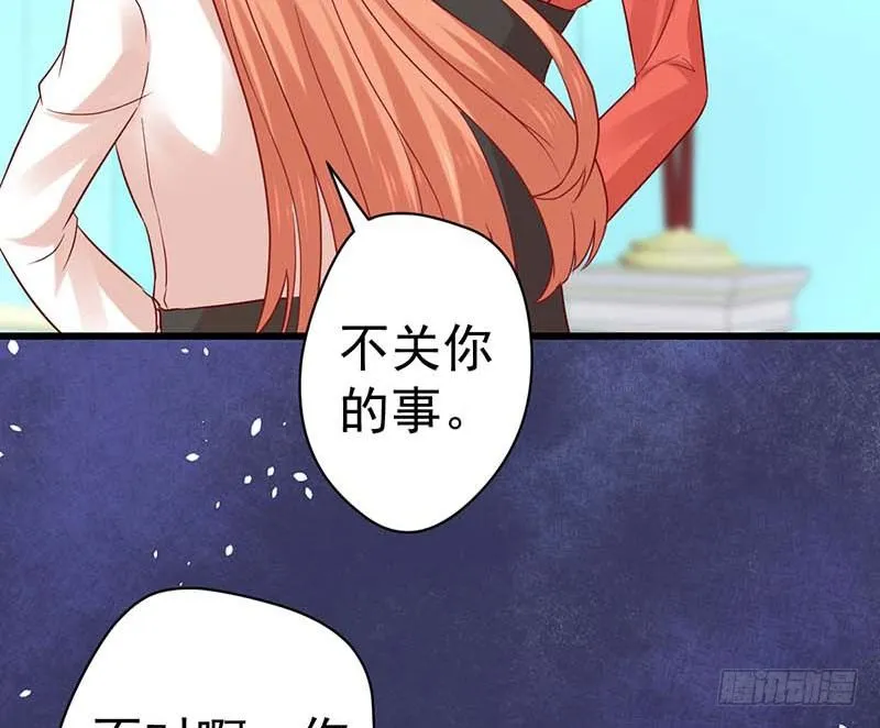 大作家的生日 第66页