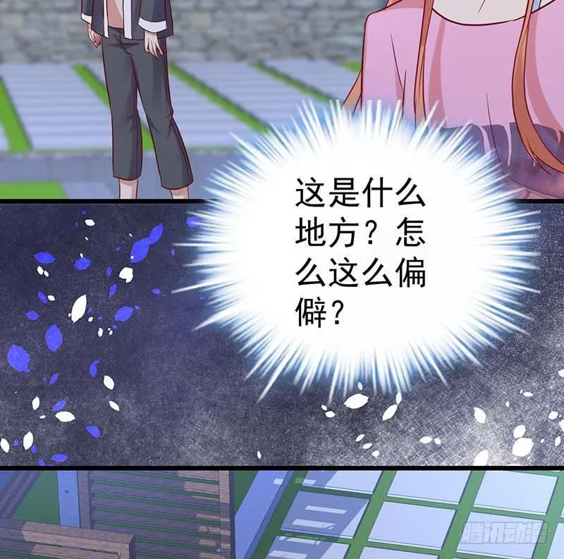 点心界的江湖 第17页