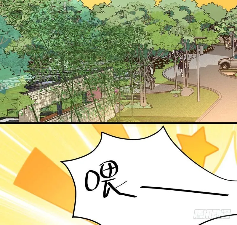 凤鸣于林 第3页