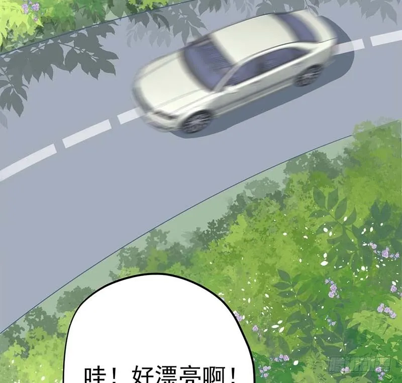 寻找已逝去的味道 第17页