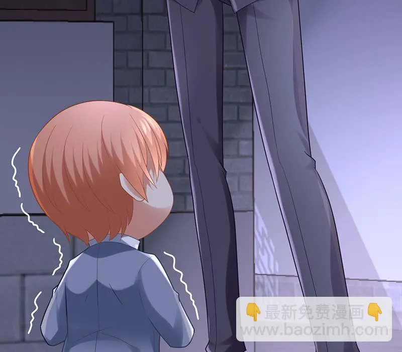 白岸，白案。 第13页