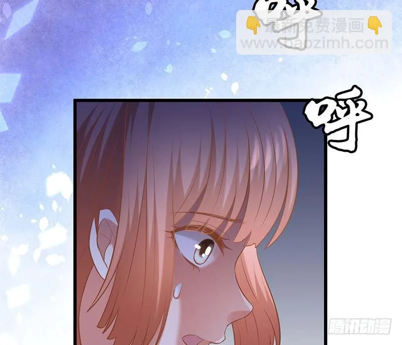 白岸，白案。 第40页