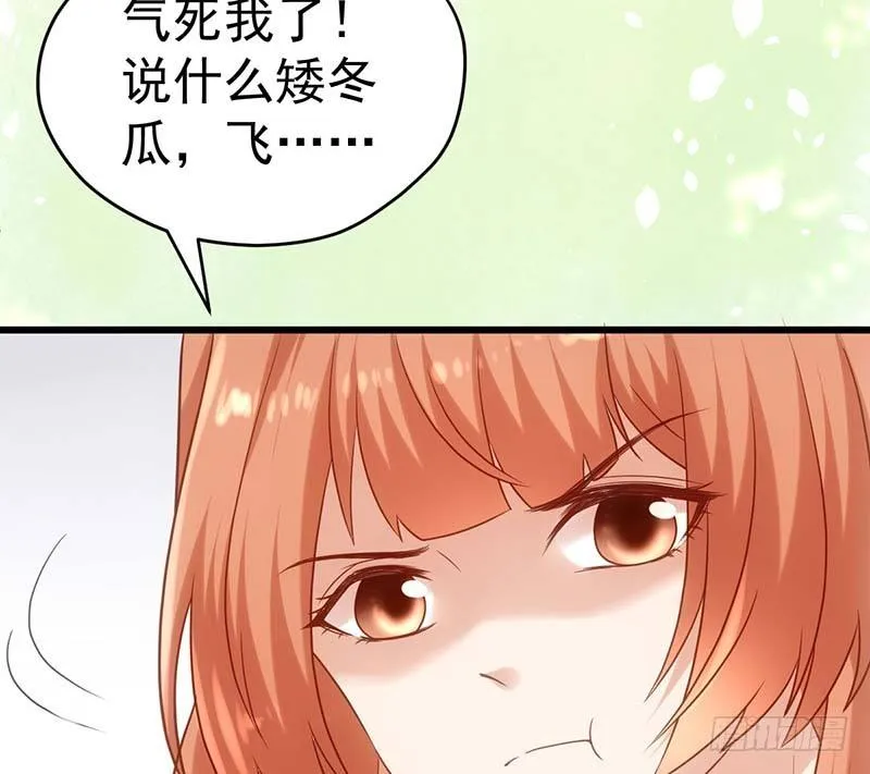 矮冬瓜飞机场 第57页