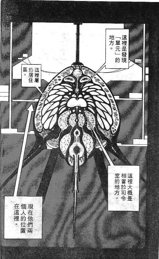 第7卷 第17页